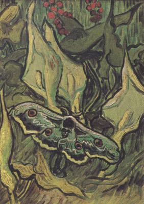 Vincent Van Gogh Death's-Head Moth (nn04) Germany oil painting art